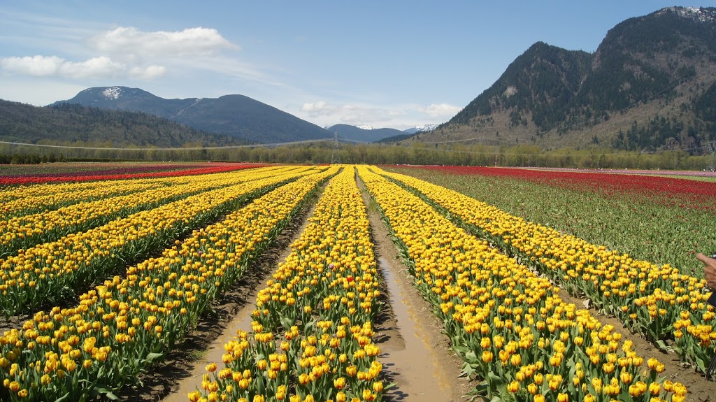 Seabird Island Band | 2895 Chowat Rd, Agassiz, BC V0M 1A0, Canada | Phone: (604) 796-2177
