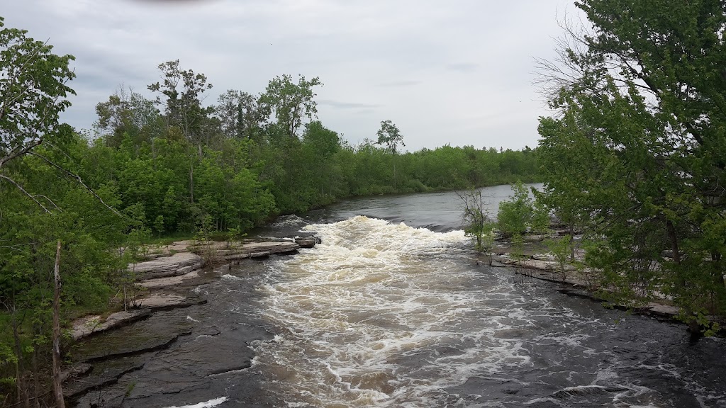 Pine Ridge Park Campground & Rustic Cabin Rental | 419 River Dr, Pembroke, ON K8A 6W7, Canada | Phone: (888) 746-3743