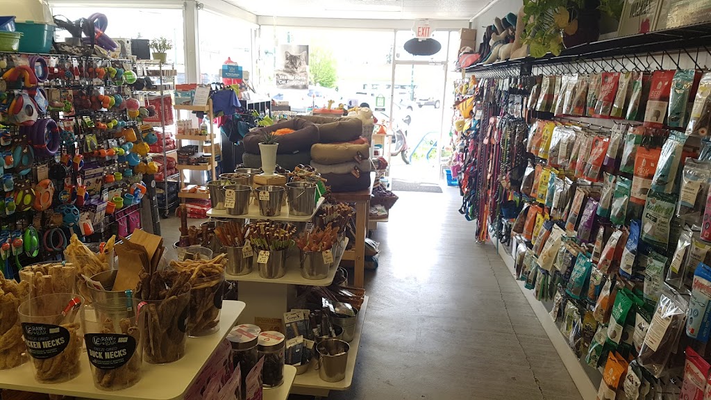 Discover Dogs | 701 Kingsway, Vancouver, BC V5T 3K6, Canada | Phone: (604) 428-3647