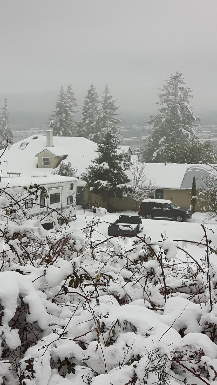Glacier View Lodge | 2450 Back Rd, Courtenay, BC V9N 8B5, Canada | Phone: (250) 338-1451