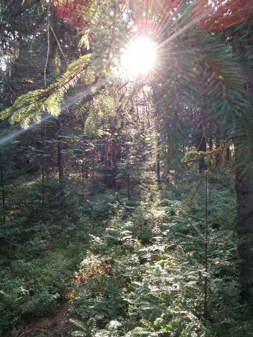 Camping Summum Inc | 2340 Rang Versailles, Saint-Côme, QC J0K 2B0, Canada | Phone: (450) 883-1968
