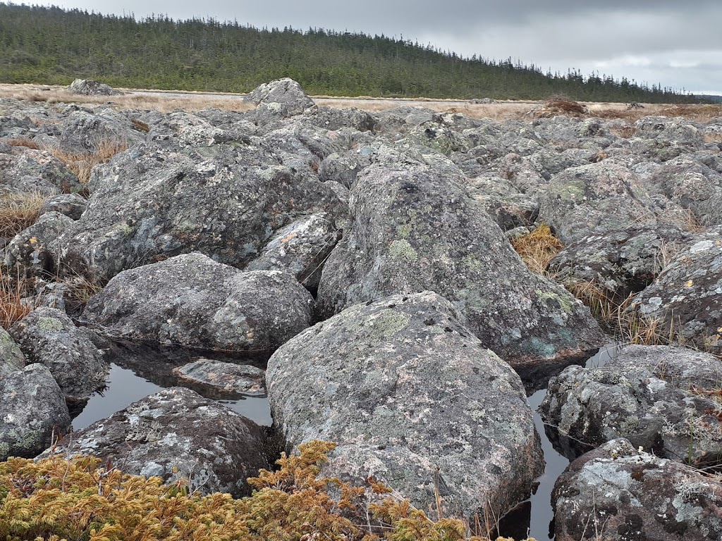 Bluefin RV Trailer Park | 8VQQ+WF, Holyrood, NL A0A 4B0, Canada | Phone: (709) 229-5500