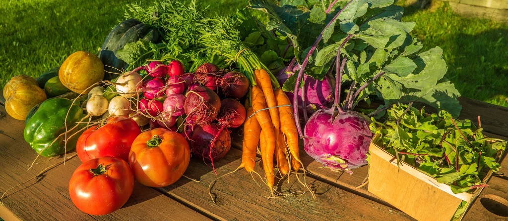 Artisan Maraîcher | 431 A Chemin Corey, Ayers Cliff, QC J0B 1C0, Canada | Phone: (819) 580-7827
