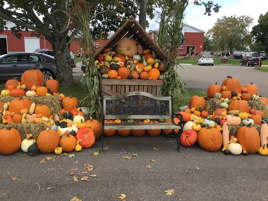 Veseys Seeds Ltd | 411 Hwy 25, York Road, York, PE C0A 1P0, Canada | Phone: (800) 363-7333