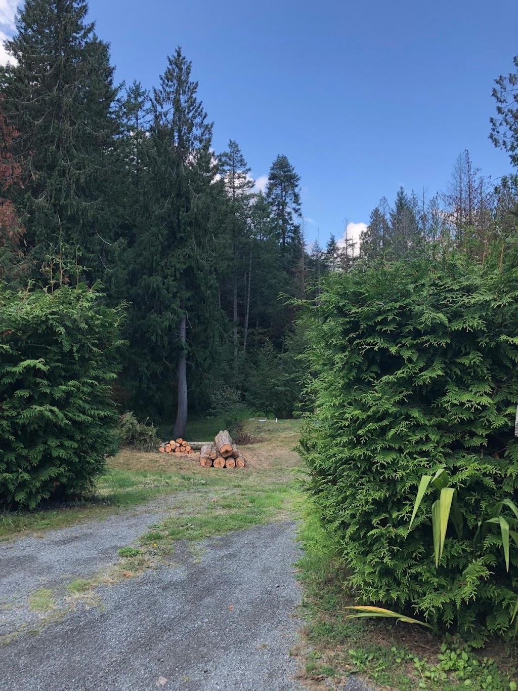 Onsight Tree Services | 5378 Winchester Rd, Sahtlam, BC V9L 6G1, Canada | Phone: (250) 893-0347