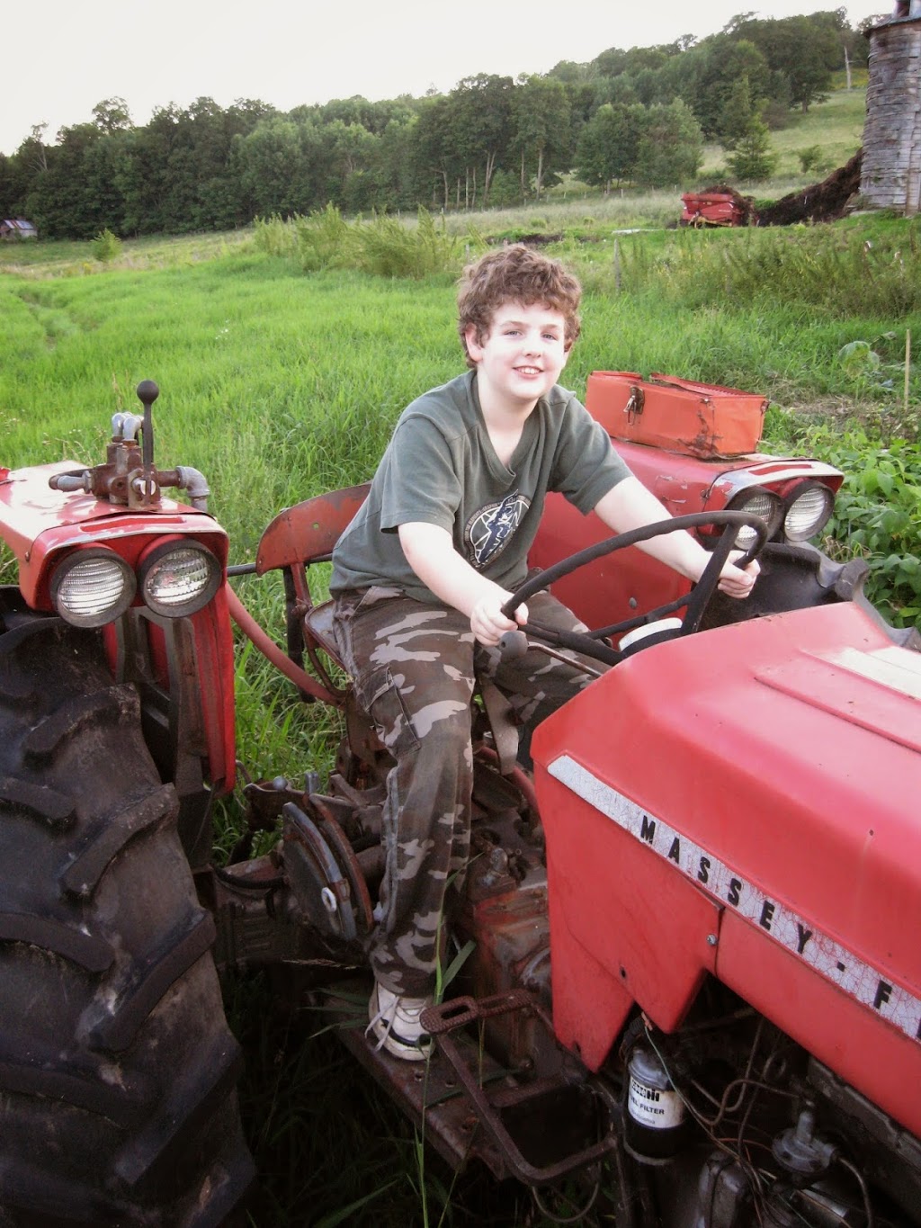 Glen Hart Farm | 439 Chemin du Lac Gale, Bromont, QC J2L 2S5, Canada | Phone: (450) 777-9085