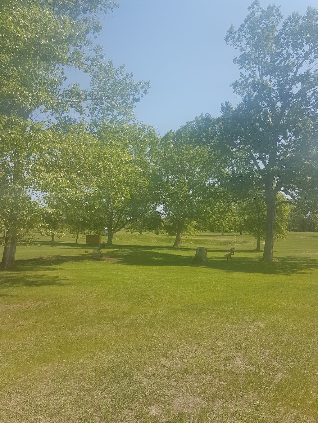Castor Golf Club | Box 753, 4599 45 St, Castor, AB T0C 0X0, Canada | Phone: (403) 882-2112