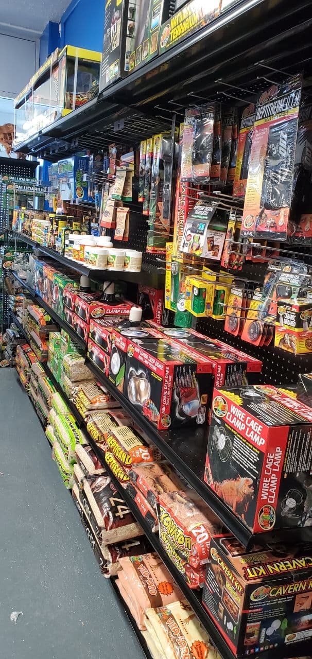 Tropical Gems | 165 Wellington St W Units 5&6, Barrie, ON L4N 1L7, Canada | Phone: (705) 999-9600