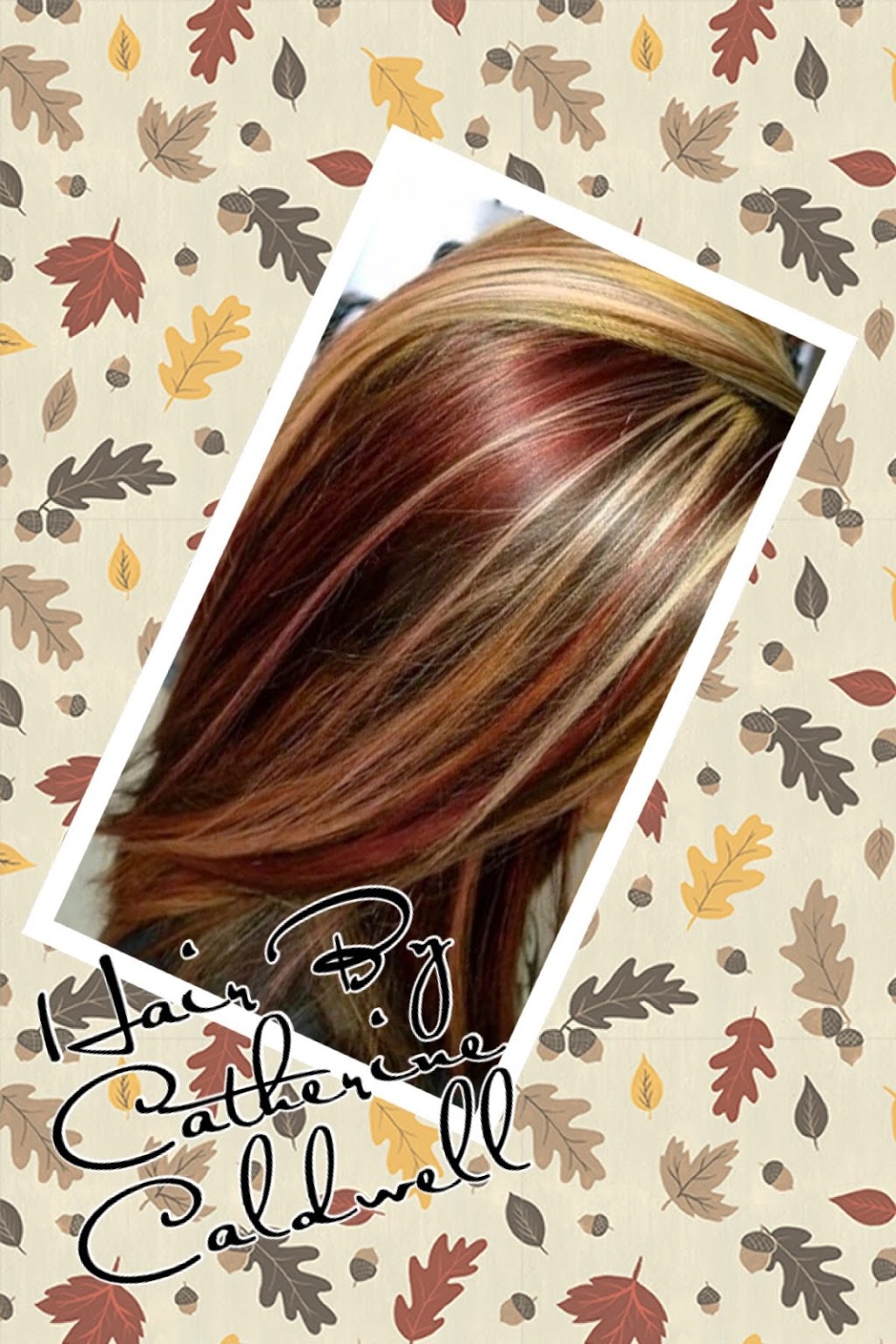 Hair Envy Salon | 2421 Grand Island Blvd, Grand Island, NY 14072, USA | Phone: (716) 775-8435