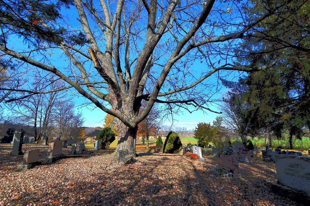 Maple Lawn | Wainfleet, ON, Canada