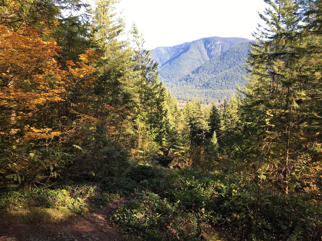 Lookout Trail | Golden Ears Pkwy, Maple Ridge, BC V0M, Canada