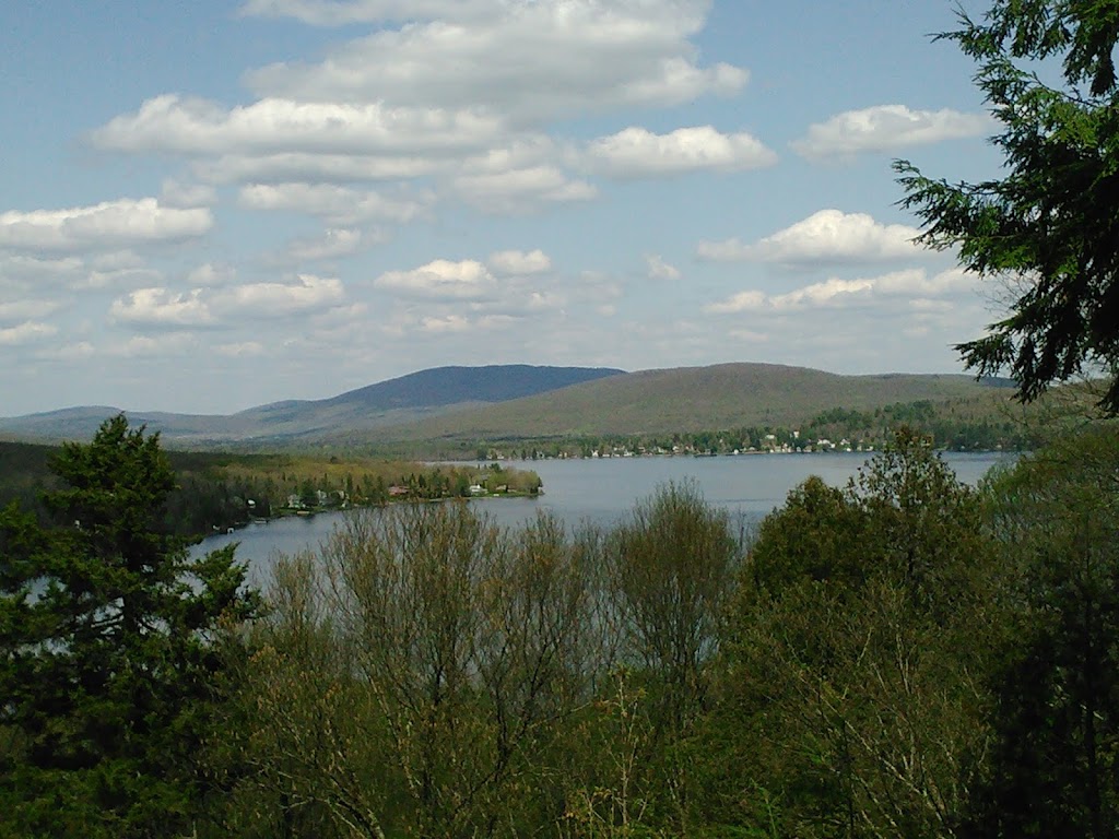 Technicien forestier | 746 a Bd du Havre, Salaberry-de-Valleyfield, QC J6S 1W3, Canada | Phone: (514) 703-8130