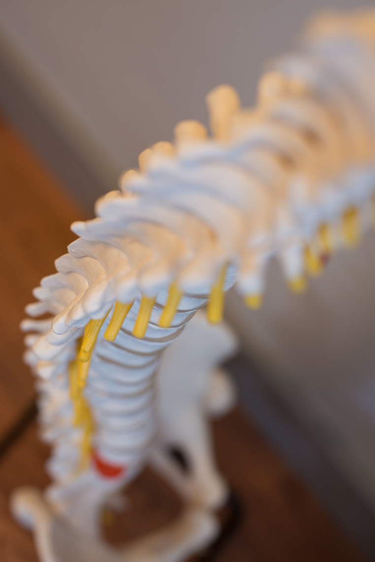Arbutus Physiotherapy & Health Centre | 1509 Amphion St, Victoria, BC V8R 4Z5, Canada | Phone: (778) 265-3663