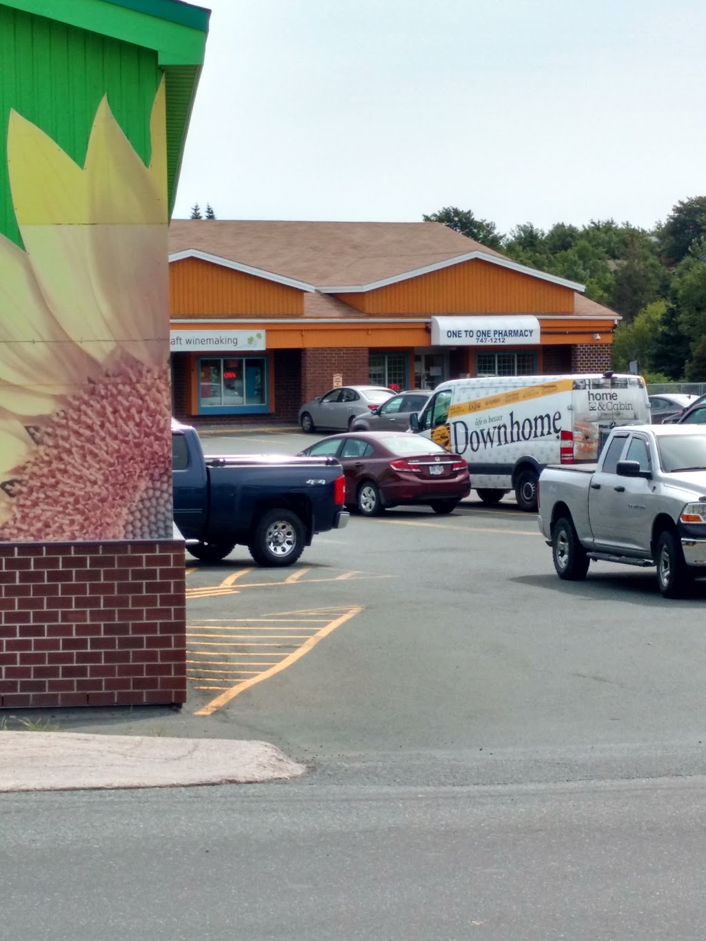 One to One Pharmacy Inc. | 7 Commonwealth Ave, Mount Pearl, NL A1N 1W2, Canada | Phone: (709) 747-1212