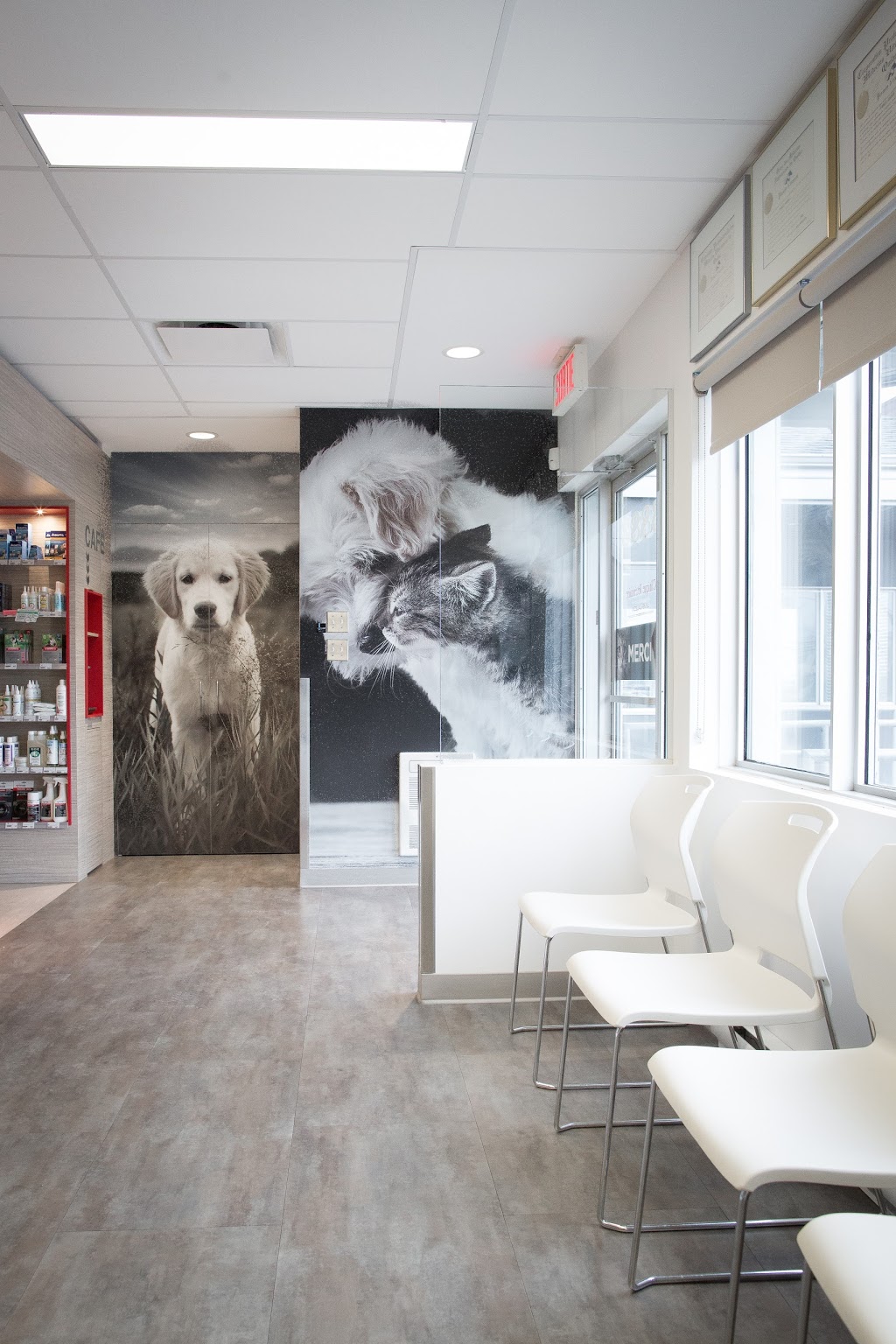 Veterinary Clinic Lévis-Lauzon | 6883 Boulevard Guillaume-Couture, Lévis, QC G6V 9H5, Canada | Phone: (418) 833-4917