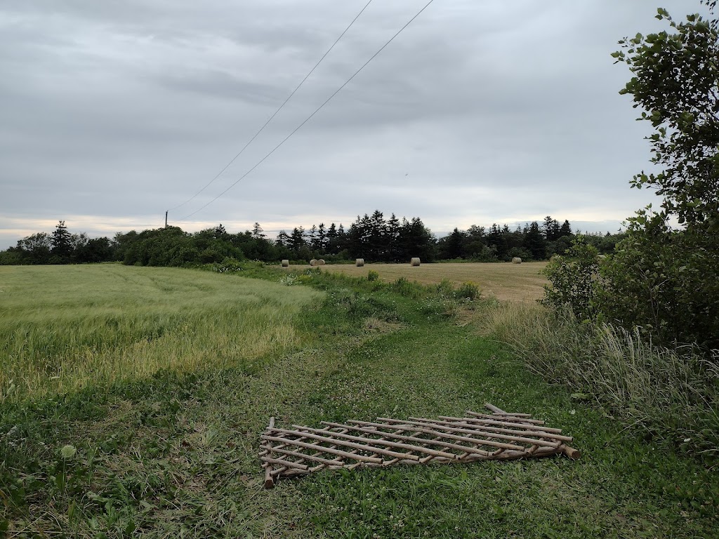 Cavendish Grove, Prince Edward Island National Park | 8780 PE-6, Cavendish, PE C0A 1M0, Canada | Phone: (902) 672-6350