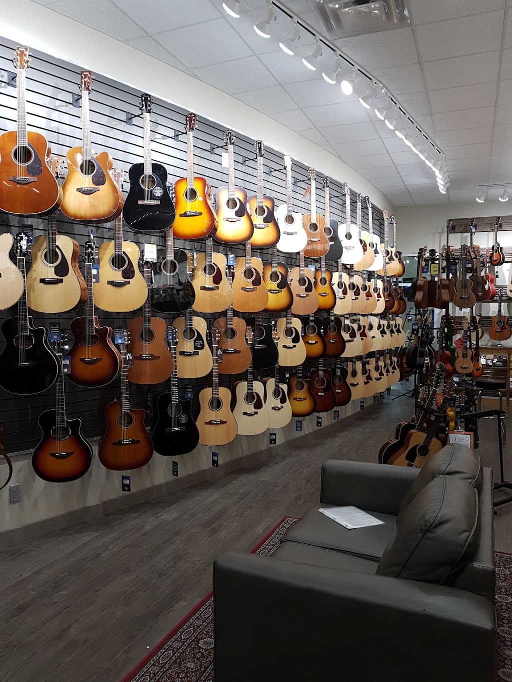 Long & McQuade Musical Instruments | 129 Aylmer St N, Peterborough, ON K9J 3J7, Canada | Phone: (705) 742-5332