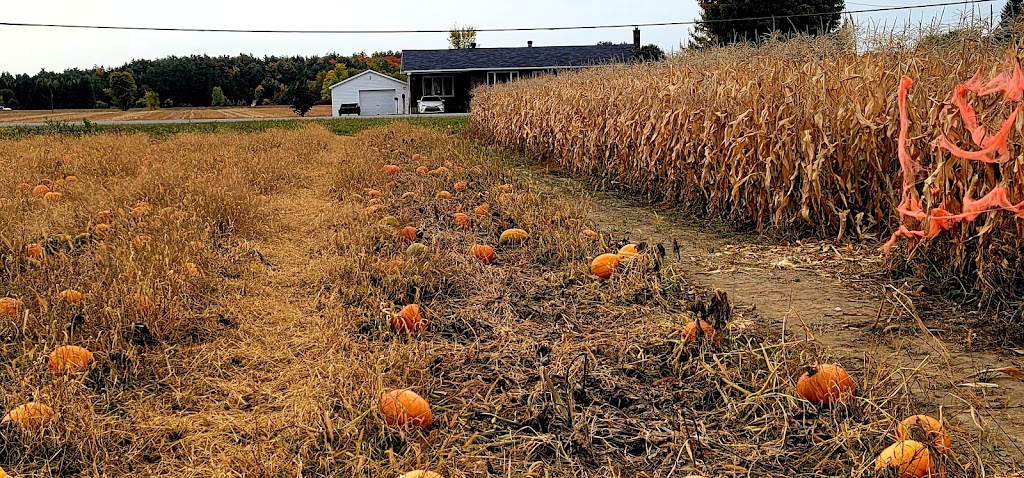 Ferme Patry | 579 Chem. Pierre-Laporte, LAnge-Gardien, QC J8L 0P3, Canada | Phone: (819) 281-0406