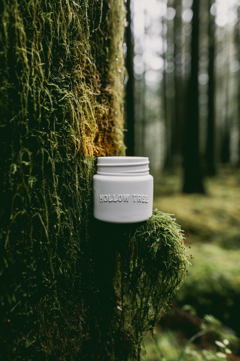 Hollow Tree Candle | 1005 Alpha Lake Rd, Whistler, BC V0N 1B0, Canada | Phone: (604) 902-0696