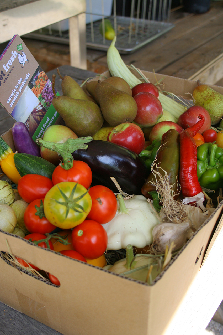 Jollity Farm | 90 Pilkey Point Rd, Thetis Island, BC V0R 2Y0, Canada | Phone: (250) 416-6736