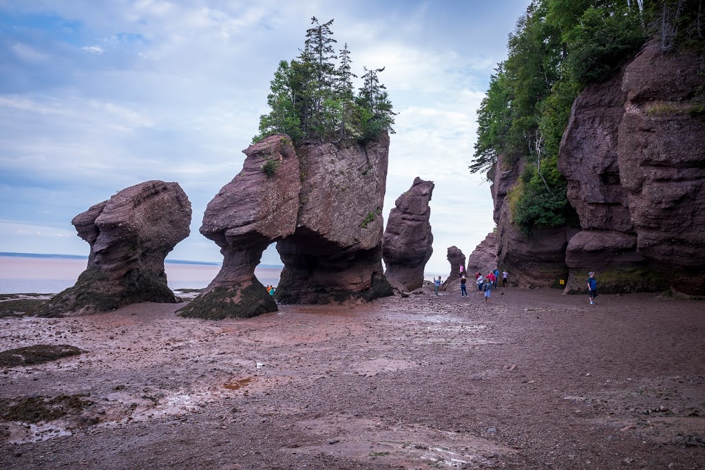 Hopewell Rocks Park | 131ch, Discovery Rd, Hopewell Cape, NB E4H 4Z5, Canada | Phone: (877) 734-3429