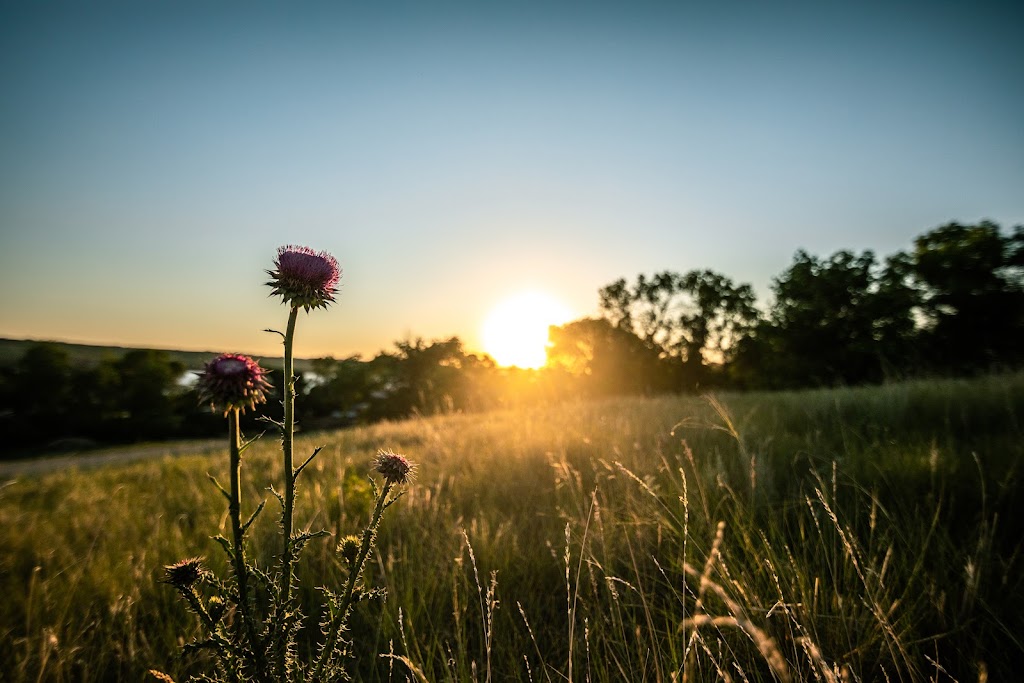 Glamping RV Resorts Ltd | Daniel Dr, Findlater, SK S0G 1P0, Canada | Phone: (306) 539-6324