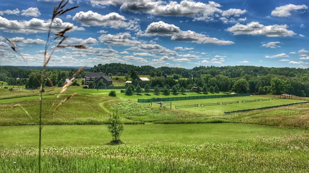 Palgrave Sports Academy | 9318 ON-9, Palgrave, ON L0N 1P0, Canada | Phone: (416) 817-2983