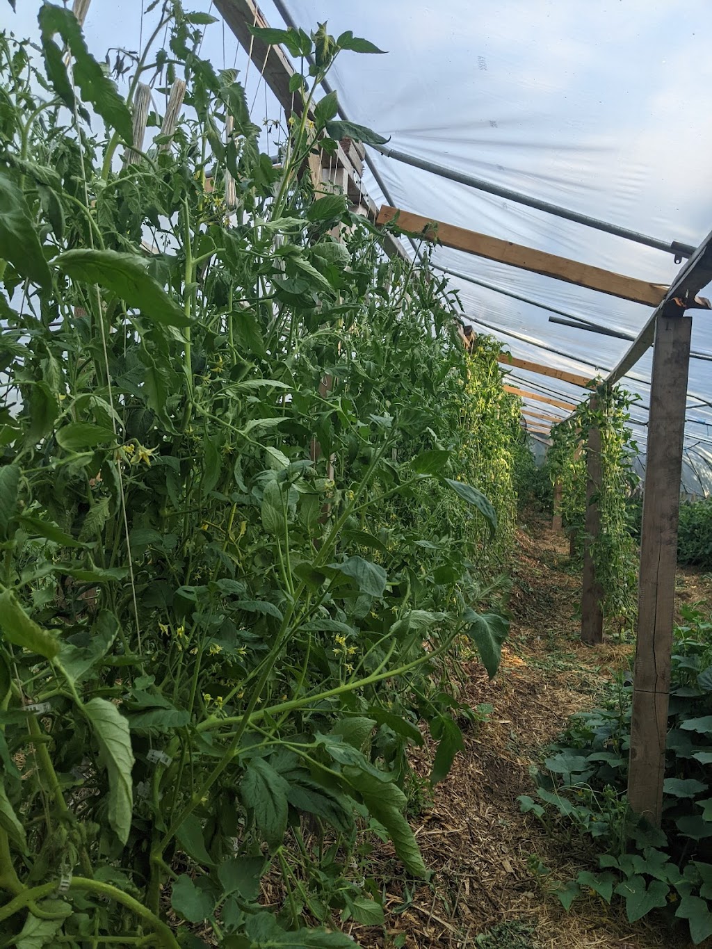 Les Jardins Épicuriens | 1320 Rang Papineau, Saint-Paul-dAbbotsford, QC J0E 1A0, Canada | Phone: (579) 361-3561