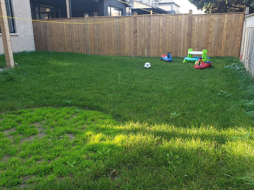 DAY LIGHT DAYCARE INC. | 2327 Tokala Trail, London, ON N6G 0V6, Canada | Phone: (519) 282-9516