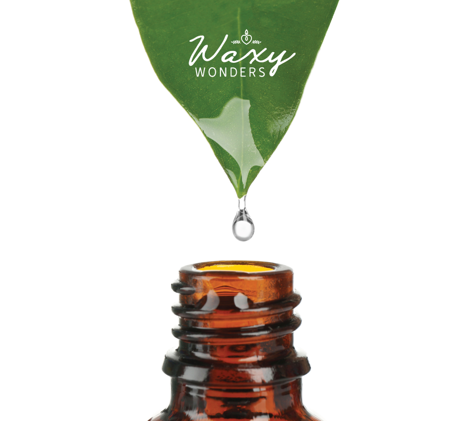 Waxy Wonders | 51 Margaret St, Angus, ON L0M 1B0, Canada | Phone: (705) 309-5532
