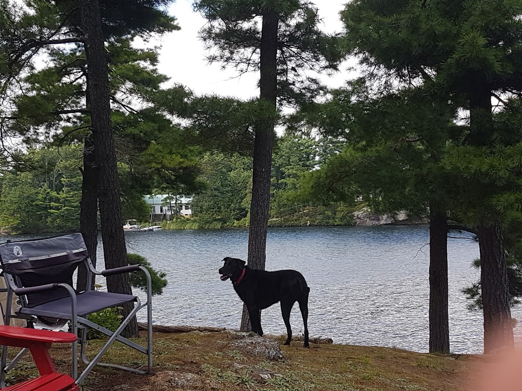 Charleston Lake Boat Ramp | 849 Water St, Athens, ON K0E 1B0, Canada | Phone: (613) 546-4228