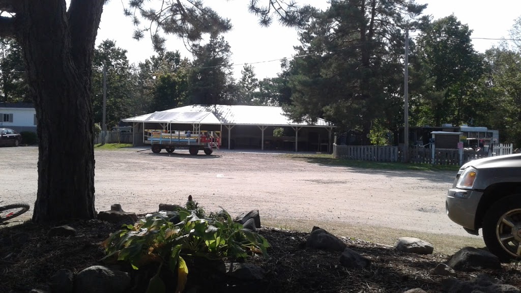 Shady Pines Campgrounds | 11316 Petty St, Ailsa Craig, ON N0M 1A0, Canada | Phone: (519) 232-4210