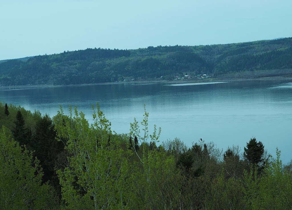 Gîte à la Vieille École | 5762 Chemin St Martin, La Baie, QC G7B 3N9, Canada | Phone: (418) 544-5094