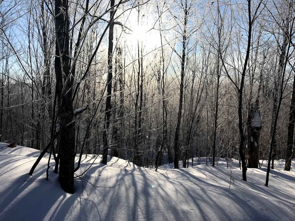 Ski de fond et raquette Estérel (Hors Limite) | Av. dAnvers, Estérel, QC J0T 1E0, Canada | Phone: (450) 822-8687