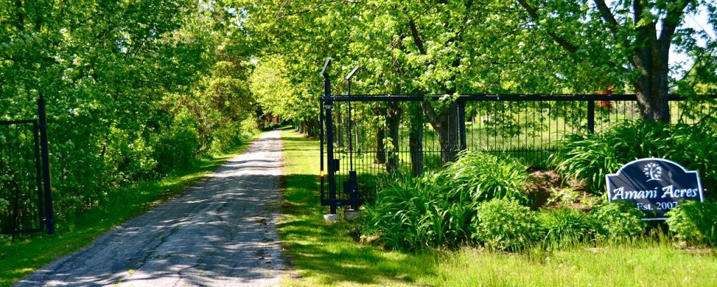 Amani Acres | 160 Jerseyville Rd, Brantford, ON N3T 5M1, Canada | Phone: (519) 277-3848