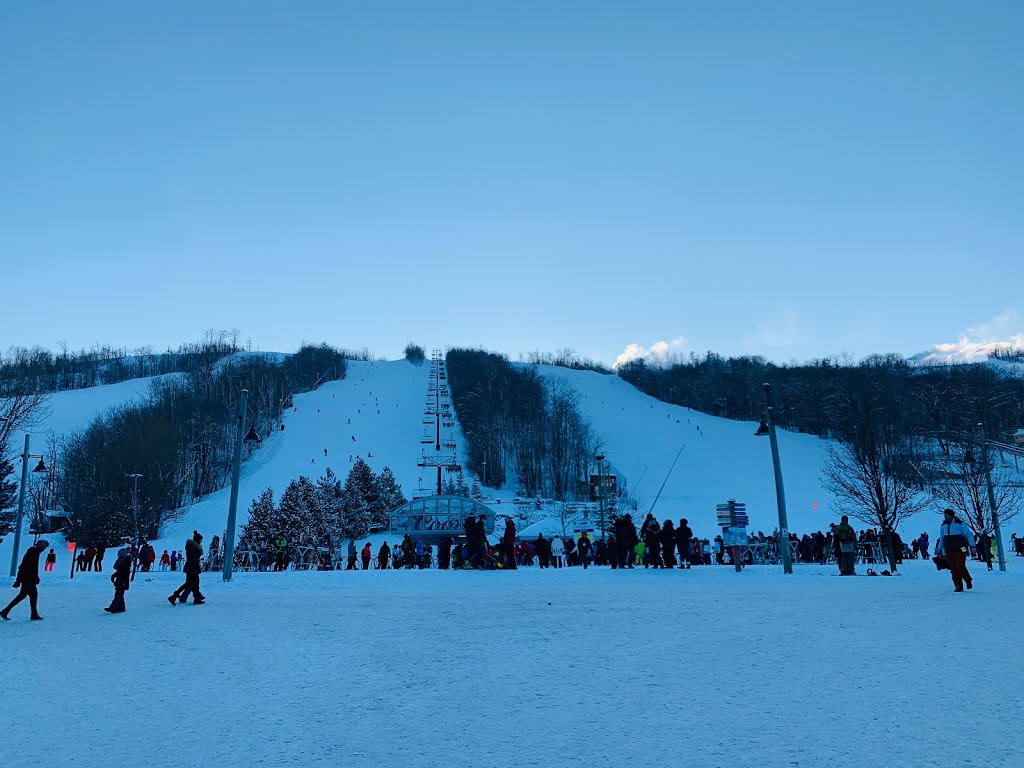 Ridge Runner Mountain Coaster | 150 Jozo Weider Blvd Unit AY2, The Blue Mountains, ON L9Y 0P7, Canada | Phone: (833) 583-2583
