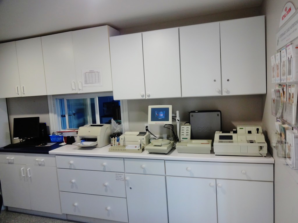 Belle River Animal Clinic | 576 Broadway St, Belle River, ON N0R 1A0, Canada | Phone: (519) 728-3221