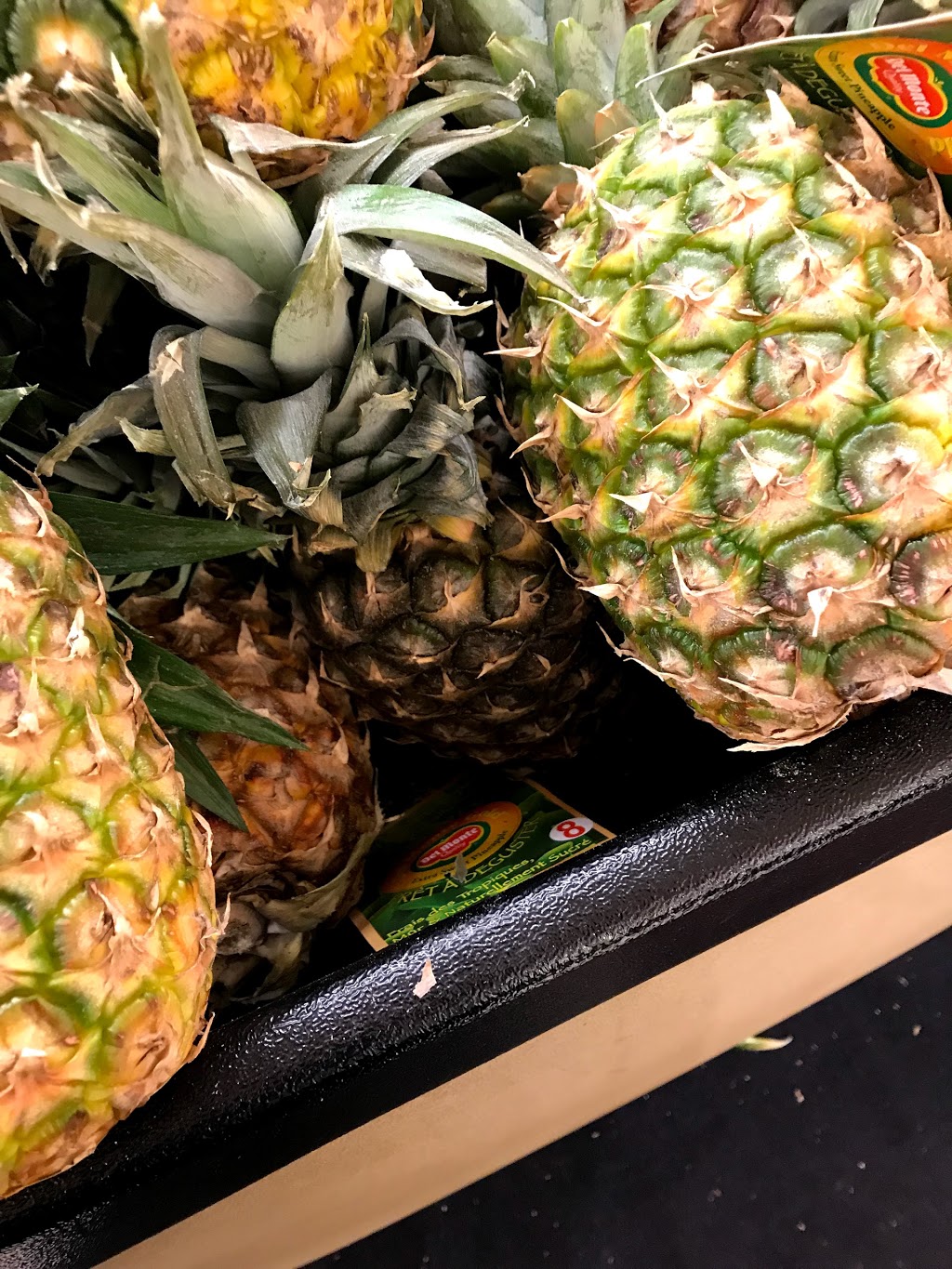 Bobs No Frills | 571 Brant St, Burlington, ON L7R 2G6, Canada | Phone: (866) 987-6453