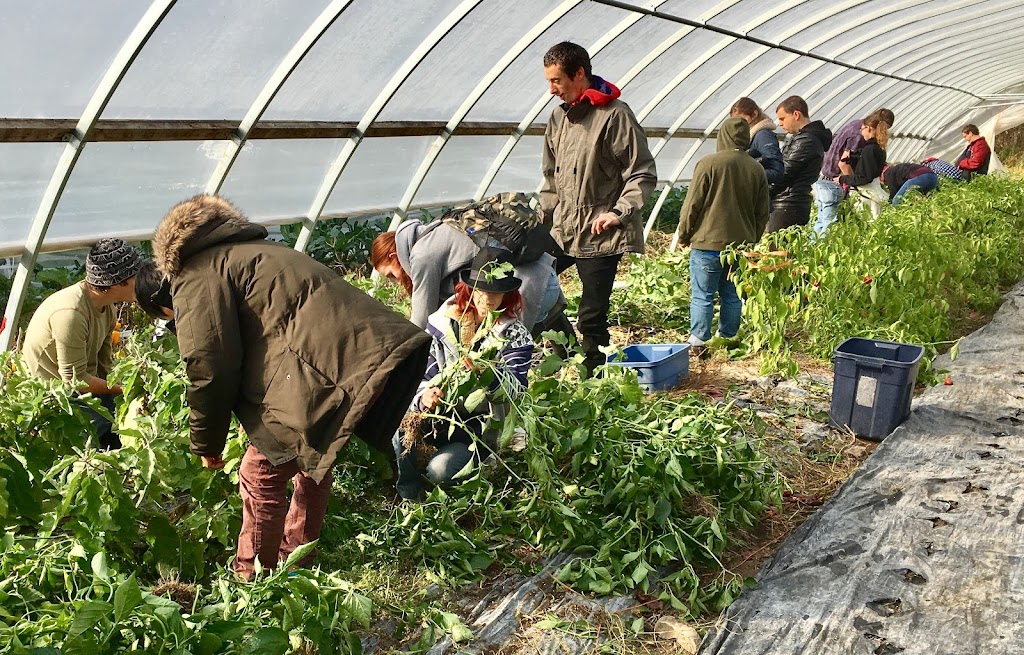 Les Jardins Glenelm | 2114 Chem. de la 3 Concession, Elgin, QC J0S 2E0, Canada | Phone: (450) 807-2592