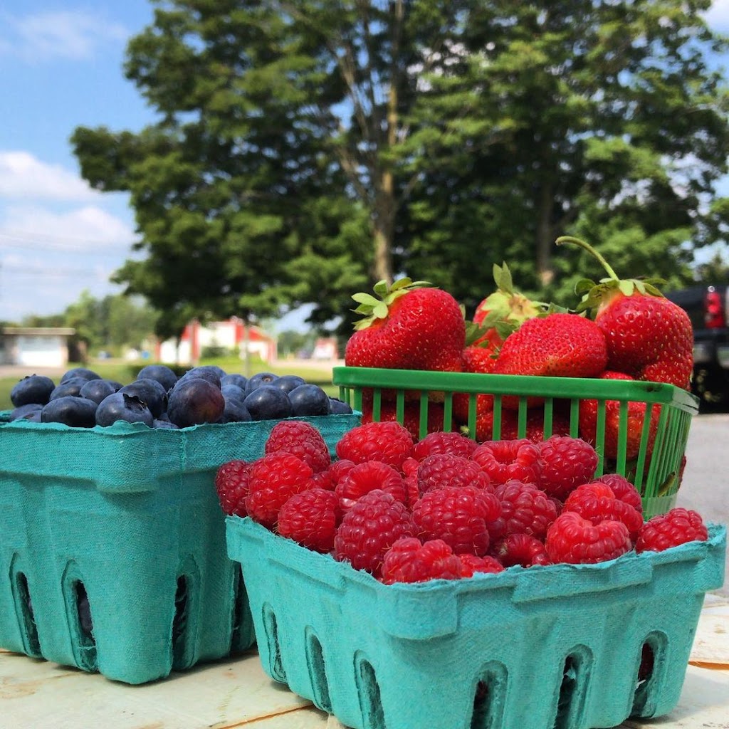 Chary Picker Country Market | 18 King St S, Oakland, ON N0E 1L0, Canada | Phone: (519) 861-1640