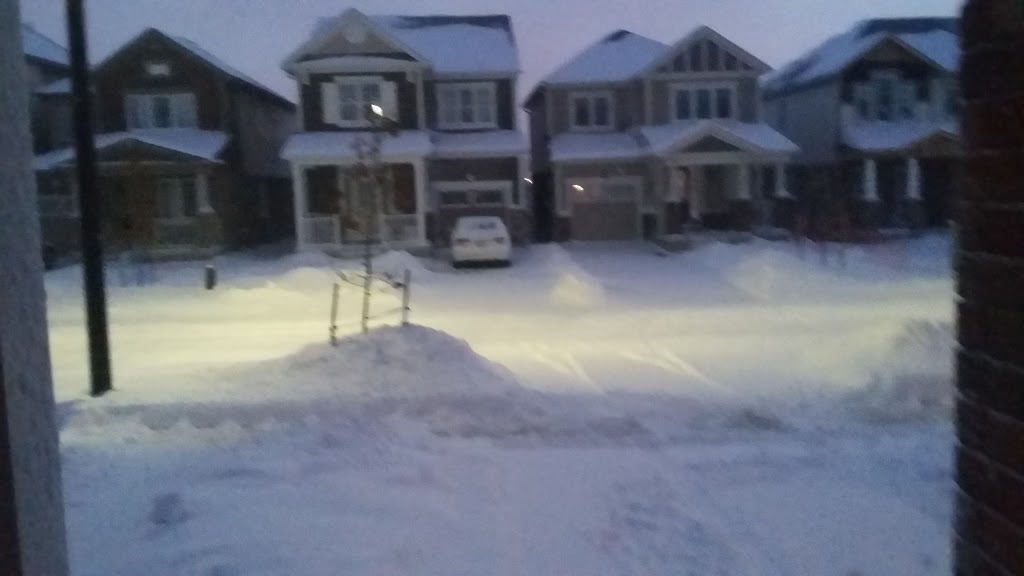 Seabrook Park | Kitchener, ON N2R 1P6, Canada