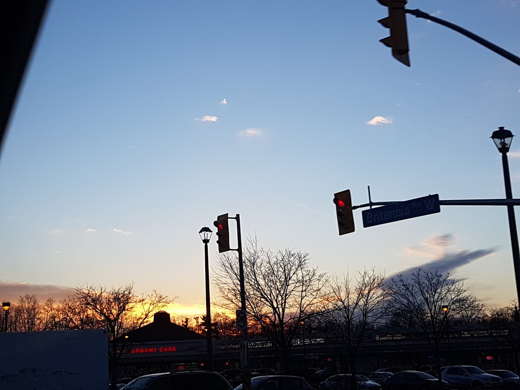 Mighty Oak Park | 6015 Douguy Blvd, Mississauga, ON L5V 1B3, Canada