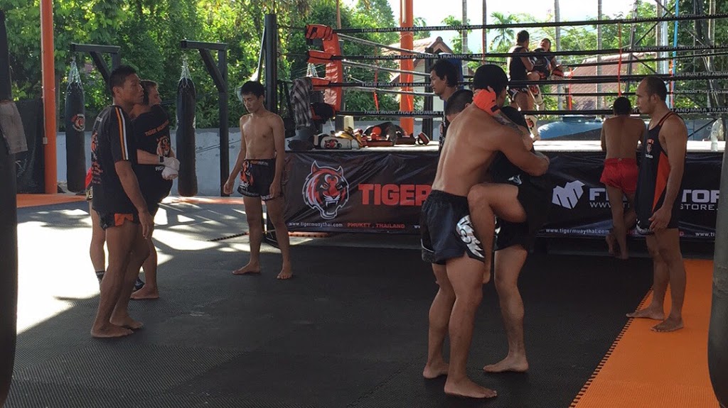 Ultimate Muay Thai | 624 Leila Ave, Winnipeg, MB R2V 1M4, Canada | Phone: (204) 881-6111