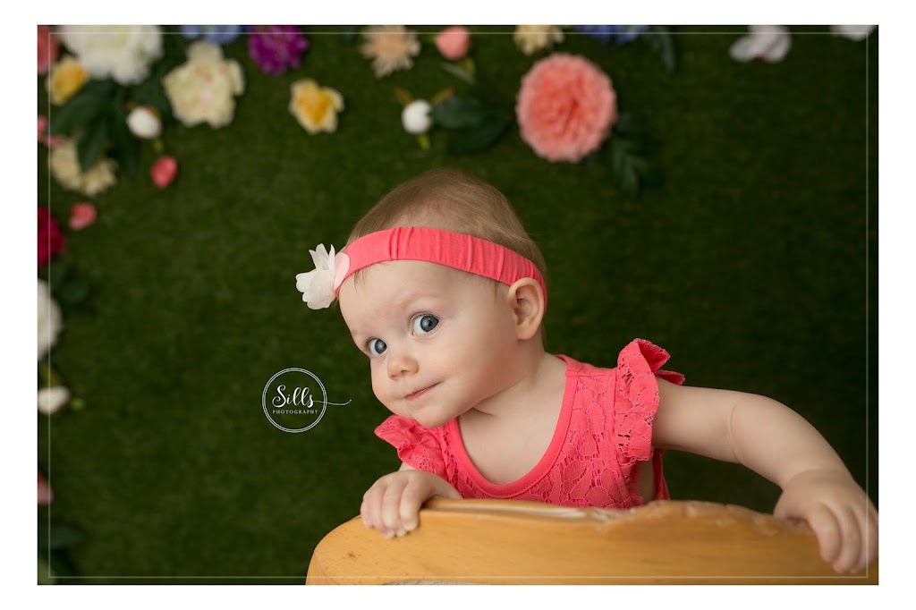Sills Photography | 505 Mill St, Neustadt, ON N0G 2M0, Canada | Phone: (519) 369-1457