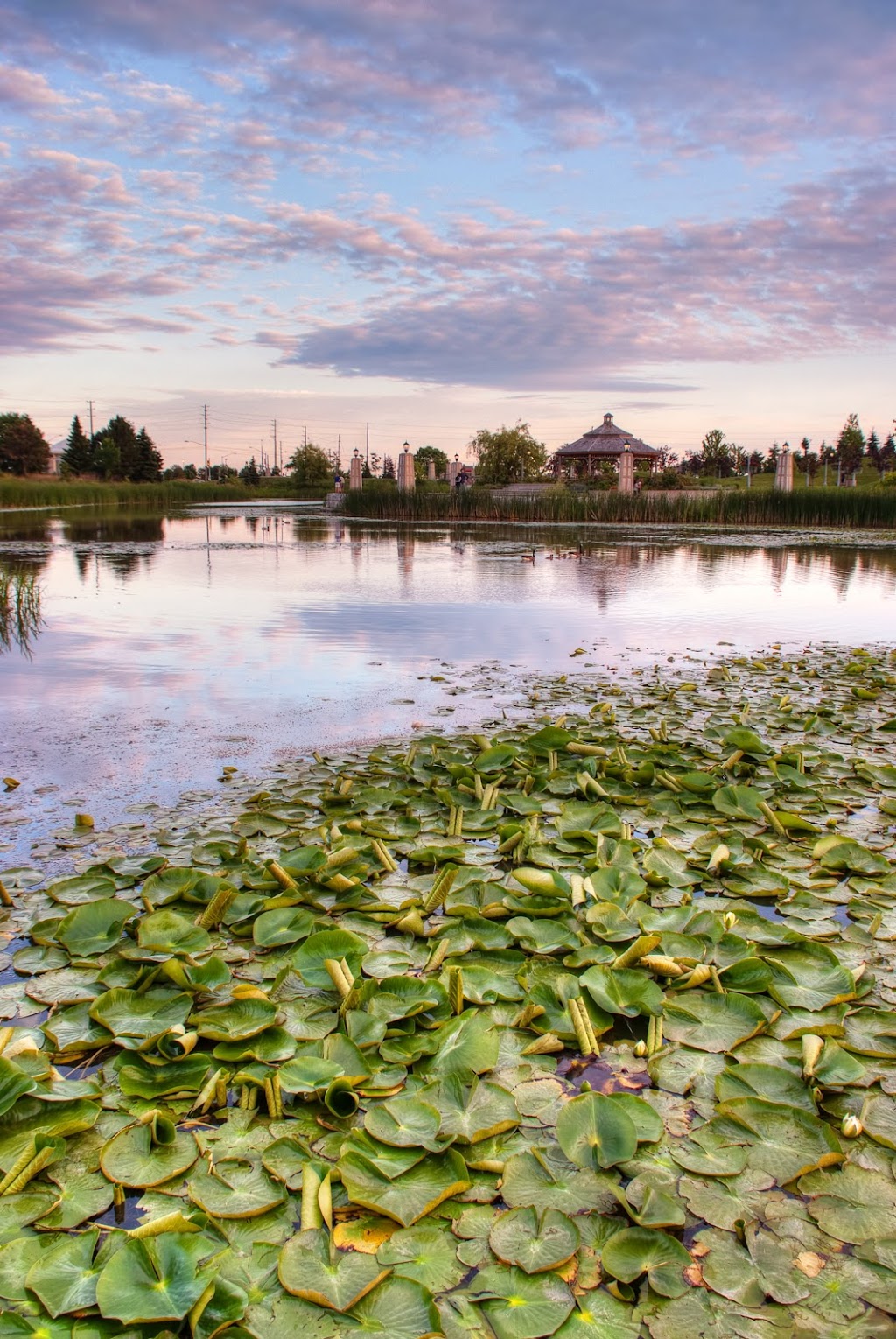 Richmond Green Secondary School | 1 William F. Bell Pkwy, Richmond Hill, ON L4S 2T9, Canada | Phone: (905) 780-7858