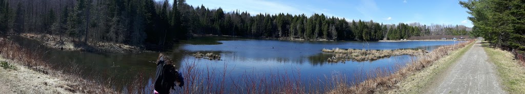 Étang Curtis Ayers Cliff | 450539 Oxford County Rd 6, Embro, ON N0J 1J0, Canada