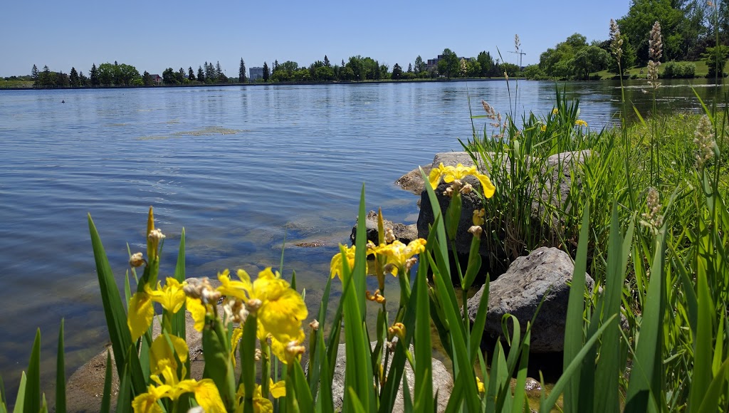 Dows Lake Peninsula | Ottawa, ON K2C, Canada