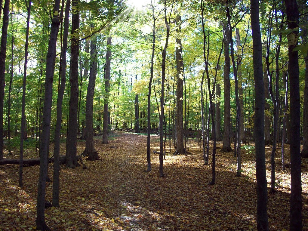 Trailview Park | Forest Heights, Kitchener, ON N2N, Canada | Phone: (519) 741-2345