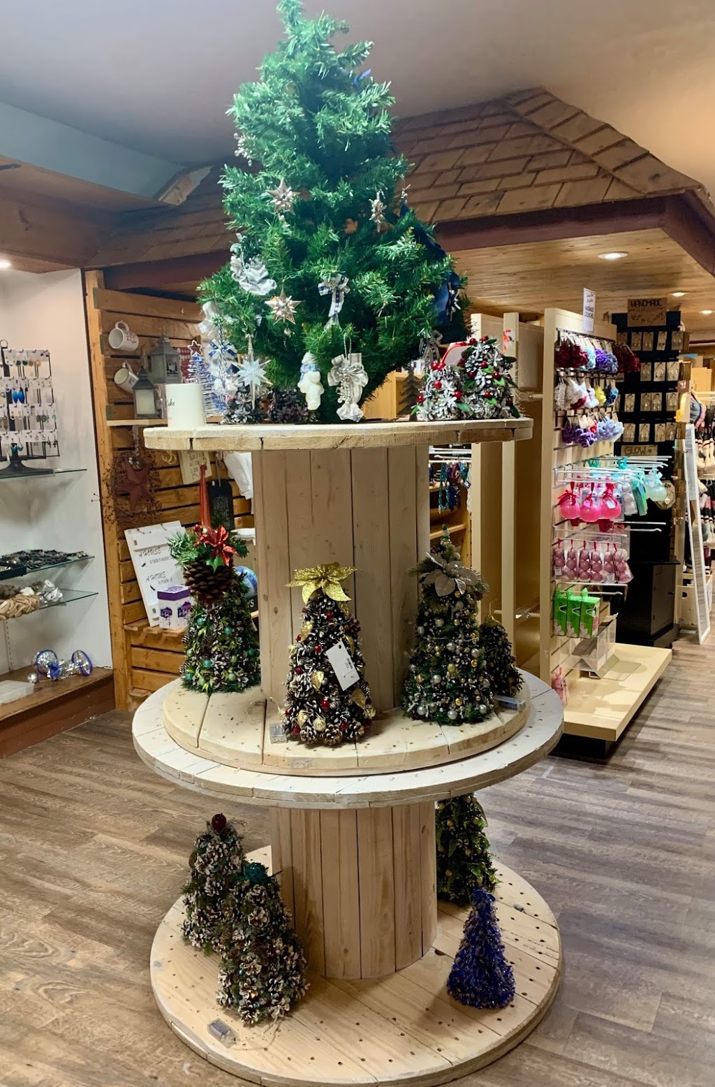 Curious Bear Market-place | 5584 ON-35, Fenelon Falls, ON K0M 1N0, Canada | Phone: (705) 887-2220