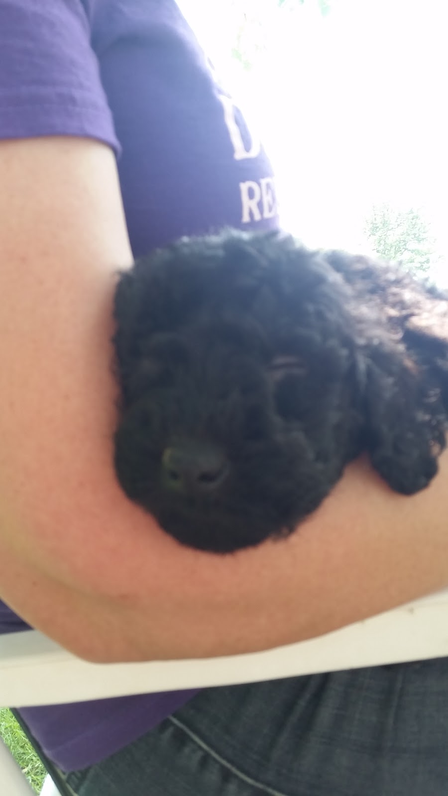 Willow Creek Water Dogs | Elmira, ON N3B, Canada | Phone: (519) 827-0950